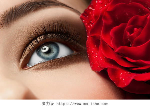 美丽的女人眼睛红玫瑰和时尚化了妆的特写眼部整形眉毛纹绣睫毛美容
